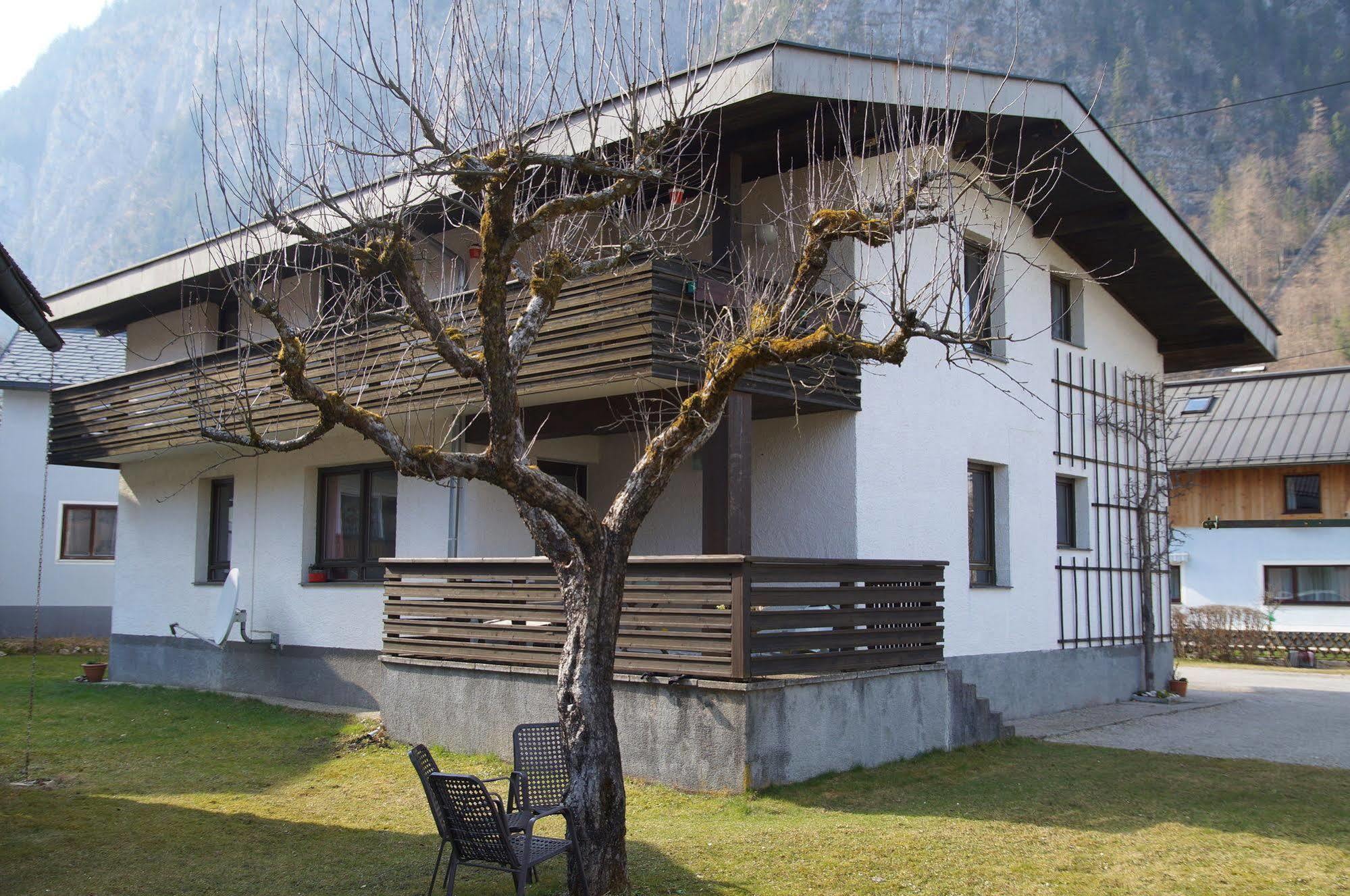 W & S Executive Apartments - Hallstatt I ภายนอก รูปภาพ